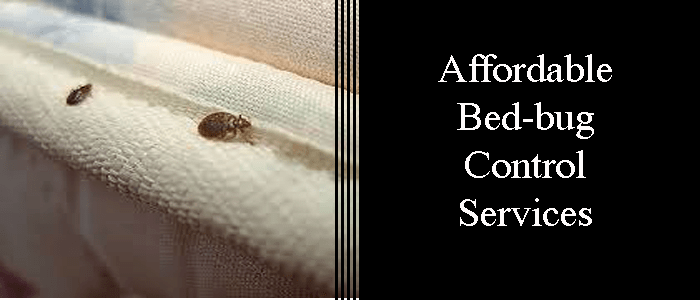 Affordable Bed Bug Control Service Glenmore Park
